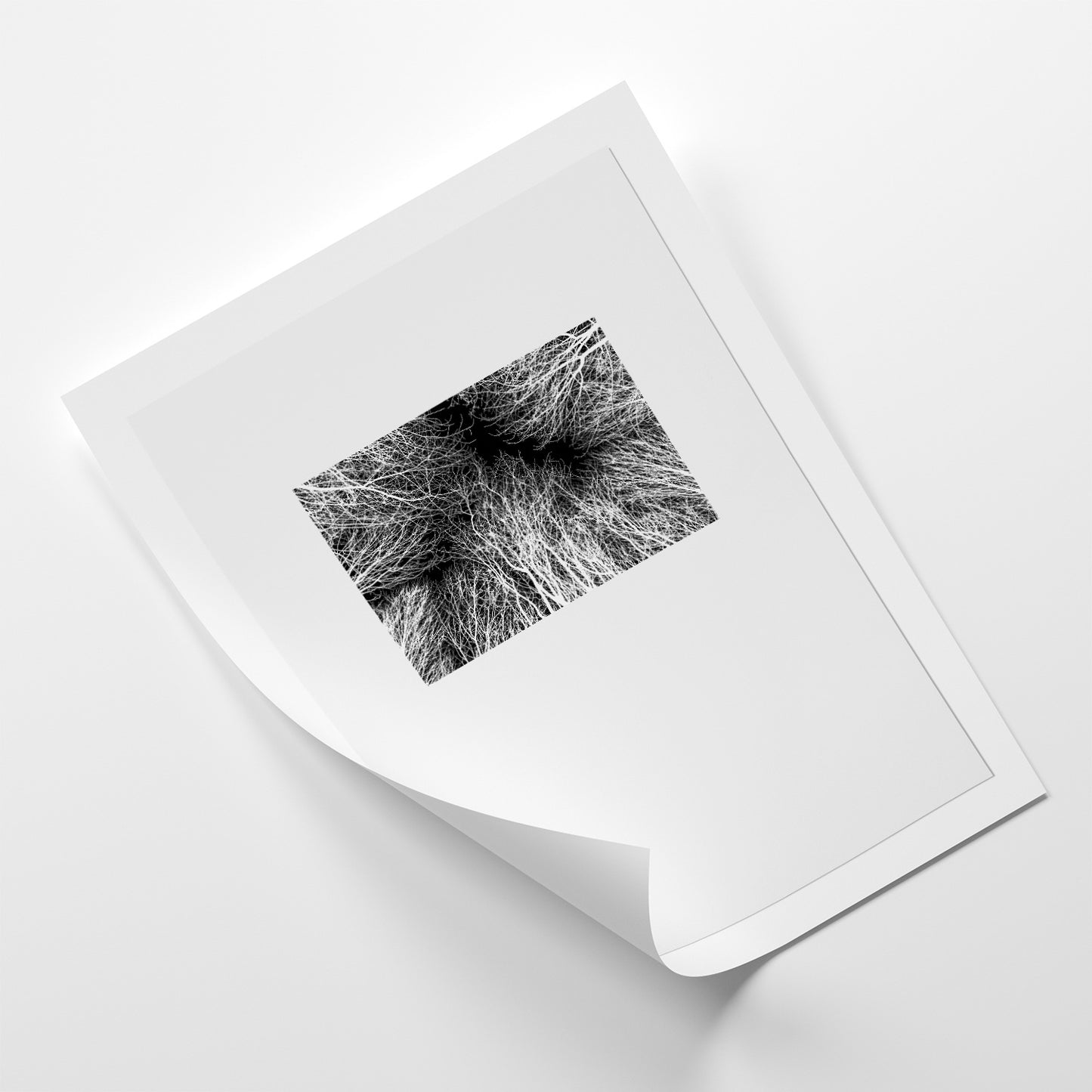 Rushcliffe - Photographic Print-Jason Groom Designs