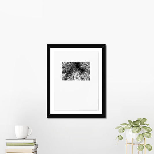 Rushcliffe - Photographic Print-Jason Groom Designs