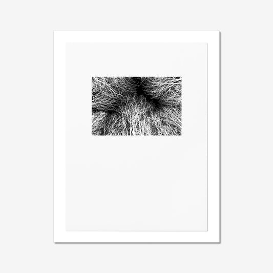 Rushcliffe - Photographic Print-Jason Groom Designs